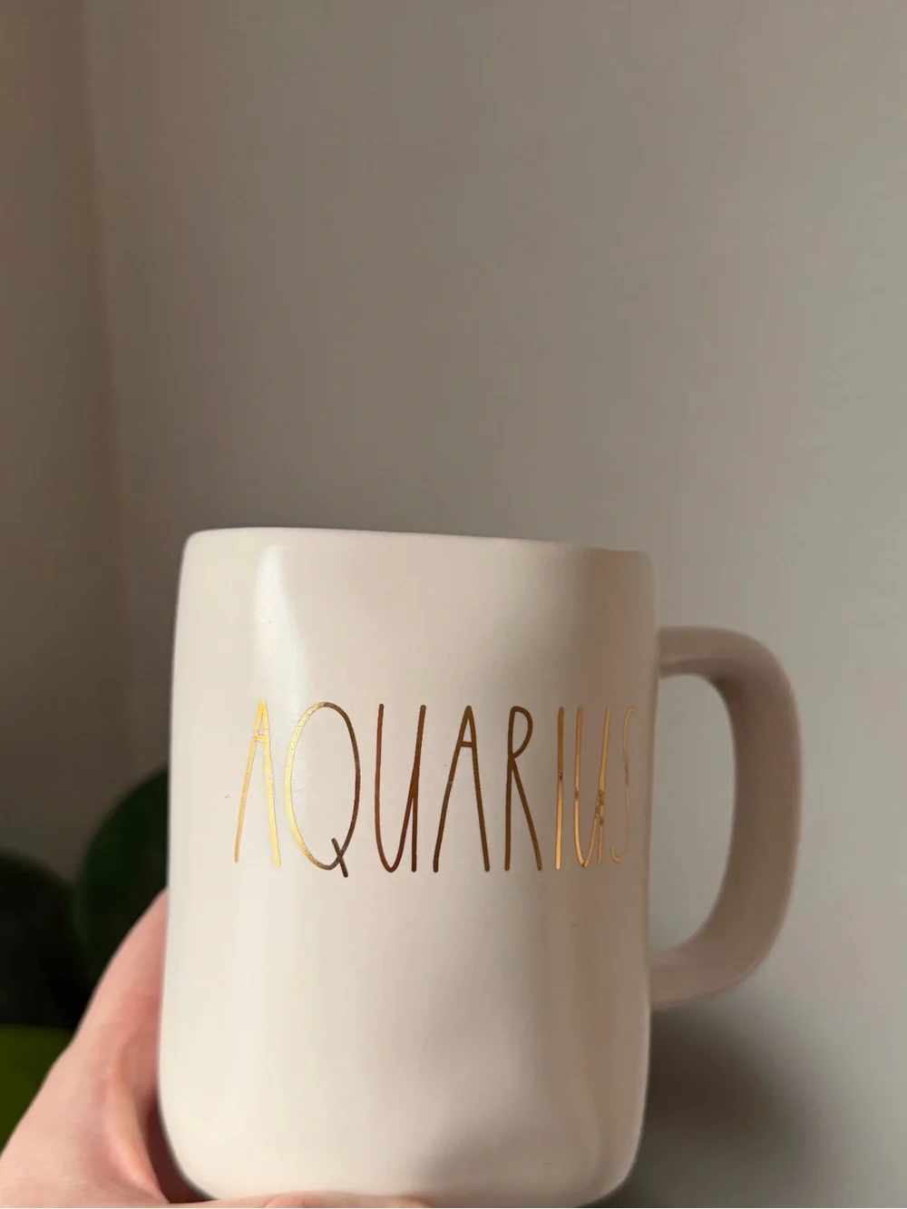 Rae Dunn Aquarius Gold Lettering Ceramic Mug